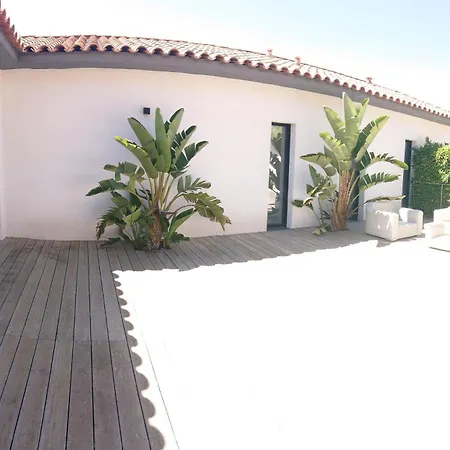 Vue Et Vignes * Cassis